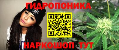 амф Краснознаменск
