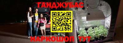 амф Краснознаменск